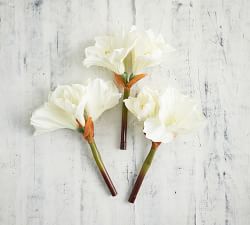 Faux Amaryllis Bundle - White