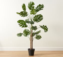 Faux Monstera Tree - 7.25'
