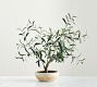 Faux Potted Olive Houseplant