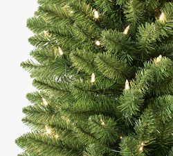 Tree Classics by Balsam Hill Pre-Lit Empire Pencil Artificial Christmas Tree