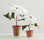 Faux Potted Poinsettias