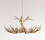 Faux Antler Round Champagne Chandelier (48&quot;)