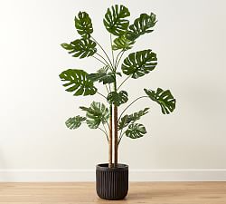 Faux Monstera Tree - 7.25'