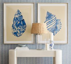 Blue Shell Watercolor Framed Print