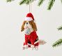 Bottlebrush Ornament Collection