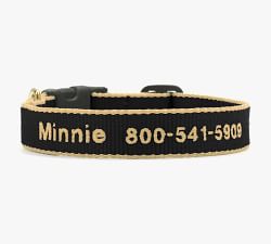 Two-Tone Collar with 5' Leash