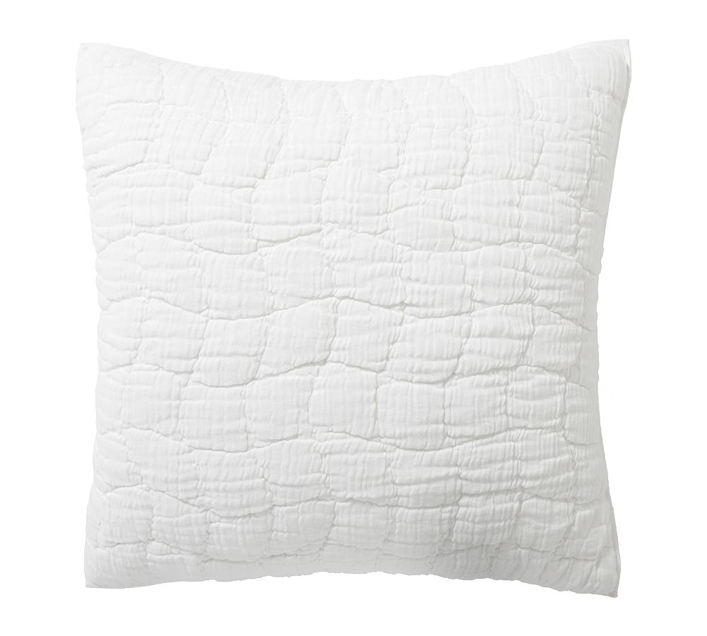 Cloud Quilted Euro Sham