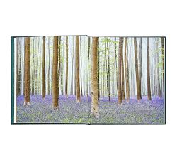 The Hidden Life of Trees Leather-Bound Book