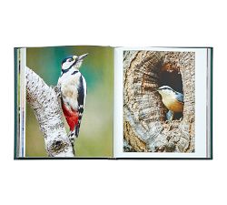 The Hidden Life of Trees Leather-Bound Book