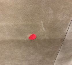 Open Box: Willem Leather Armchair - Nubuck Camel