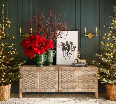 Bolinas Poinsettia Entryway