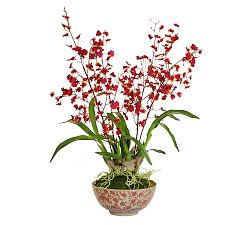 Faux Orchid In Ceramic Bowl