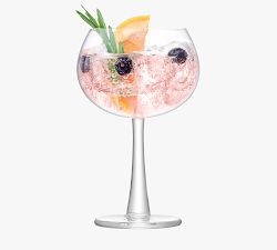 Gin Cocktail Glass and Ice Bucket Set
