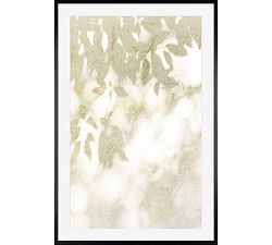 Shadow Play II by Cindy Taylor