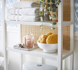 Westly Over the Toilet Ladder