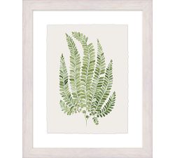 Green Fern Framed Print
