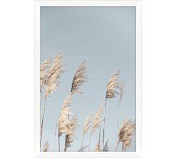 Pampas In The Wind Framed Print