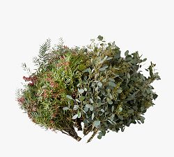 Live Pepperberry &amp; Seeded Eucalyptus