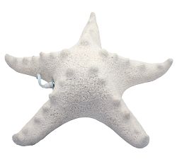 Decorative Lit Frosted Glass Starfish
