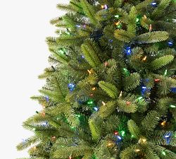 Tree Classics by Balsam Hill Fraser Fir Faux Christmas Tree