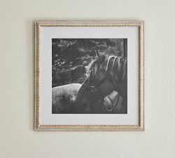 Eclectic Gallery Frames - Thumbnail 4