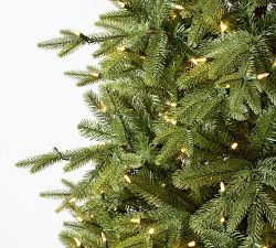 Tree Classics by Balsam Hill Addison Spruce Christmas Tree with Lights