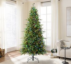 Tree Classics by Balsam Hill Addison Spruce Christmas Tree with Multi-Colored Lights