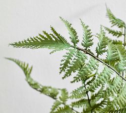 Faux Small Glass Composed Fern