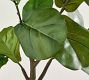Faux Small Potted Fiddleleaf Fig