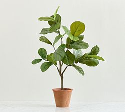 Faux Small Potted Fiddleleaf Fig