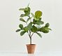Faux Small Potted Fiddleleaf Fig