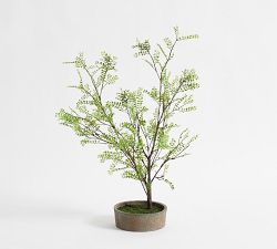 Faux Potted Sophora Tree Fern