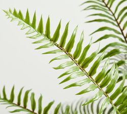 Faux Potted Wild Fern