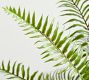 Faux Potted Wild Fern