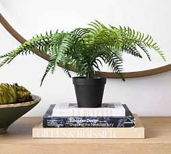 Faux Potted Wild Fern
