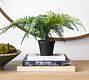 Faux Potted Wild Fern