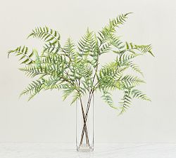Faux Glass Composed Fern
