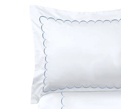 Sadee Embroidered Duvet Cover Set