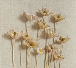 Dried Botanicals Shadowbox