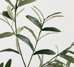 Faux Terracotta Potted Olive Tree