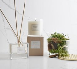 Signature Scent Collection - Seagrass &amp; Verbena