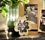 Four Leaf Clover Frame