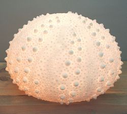 Decorative Lit Frosted Glass Sea Urchin