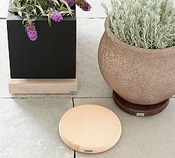 Plant Caddy On Wheels- No Show Casters