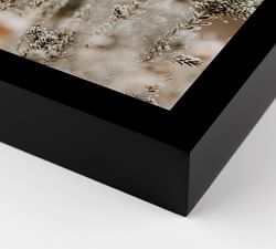 Field Flowers By Annie Spratt