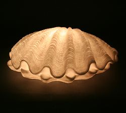 Decorative Lit Frosted Glass Clam