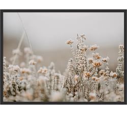 Field Flowers By Annie Spratt