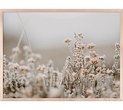 Field Flowers By Annie Spratt