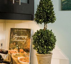 Preserved Boxwood Potted Plants