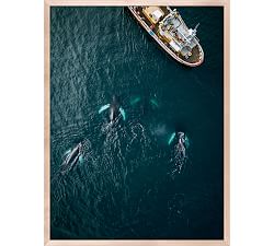 Away At Sea I By Michael Schauer